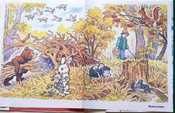 Книги детские развивающие — 2
