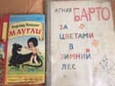 Детские книги.Агния Барто,"Маугли" и другие