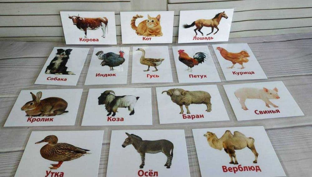Обучающие карточки для детей — 2