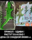 ПРИКОЛ - УДИВИ ! Тайвань.РАСТУЩИЕ крокодилы в 6-8 раз, со ск-кой 89тс