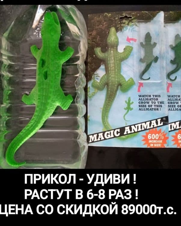 ПРИКОЛ - УДИВИ ! Тайвань.РАСТУЩИЕ крокодилы в 6-8 раз, со ск-кой 89тс — 1