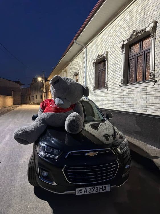 Teddi , Teddiy Teddiyla, Teddy — 2