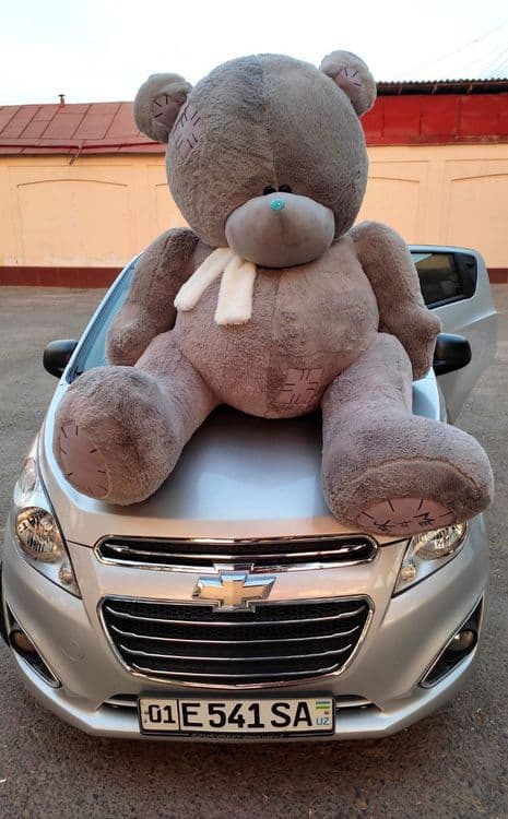 Teddi , Teddiy Teddiyla, Teddy — 4