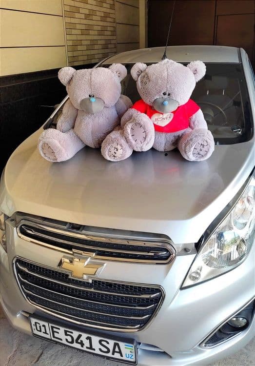 Teddi , Teddiy Teddiyla, Teddy — 5