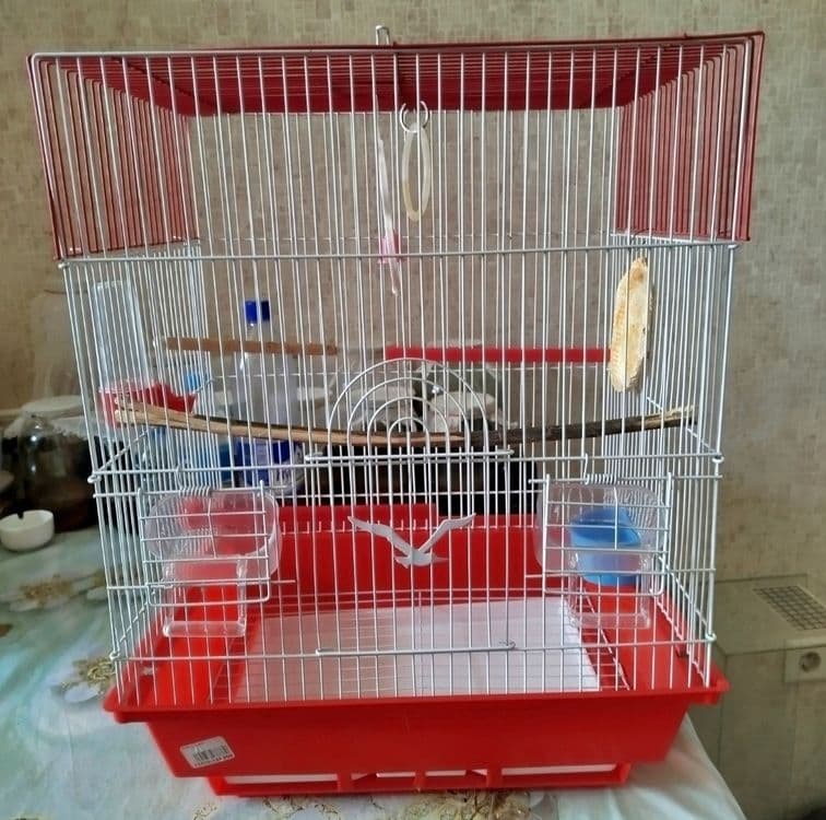 Клетка для хомячков или птиц — 1