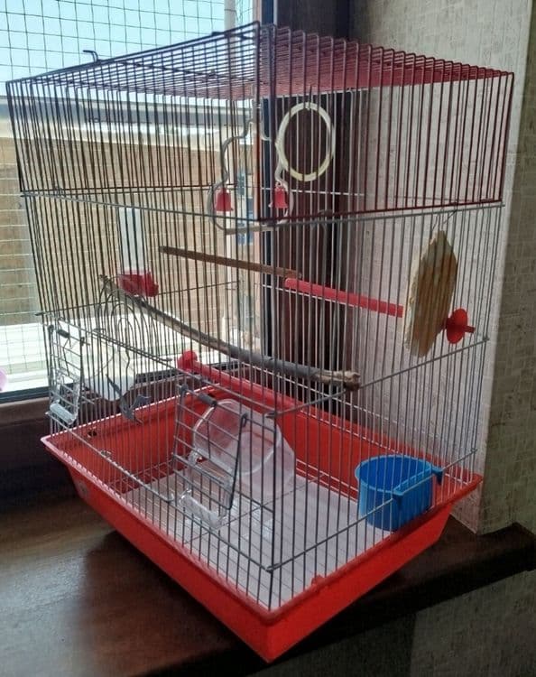Клетка для хомячков или птиц — 6