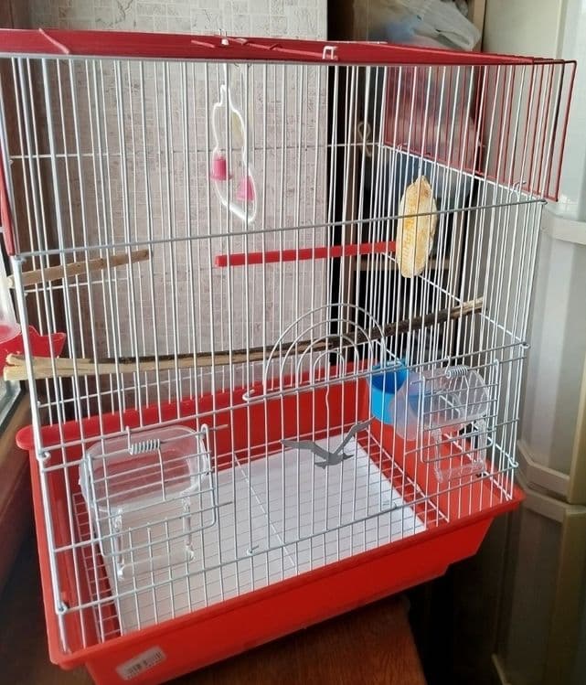 Клетка для хомячков или птиц — 8