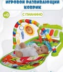 Развивающие коврик