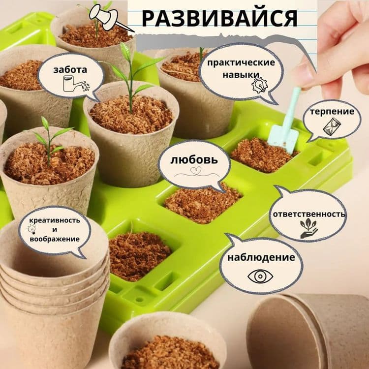 Мини теплица для детей — 3