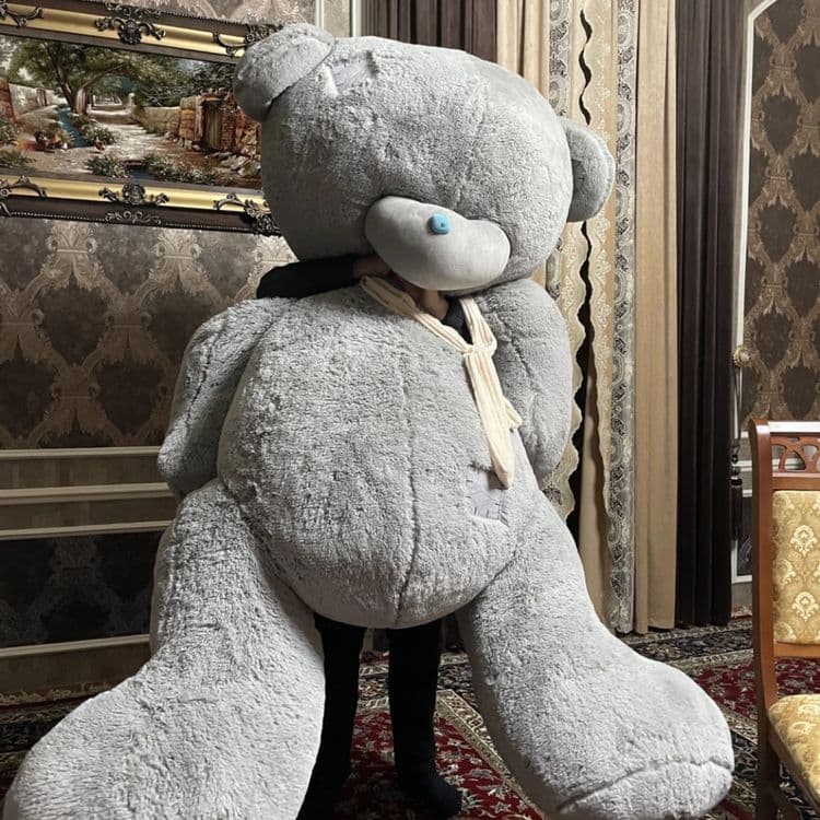 Teddi teddy+uchar shar (Dostavka) — 2