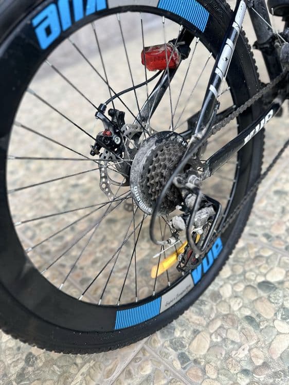 velik 24 holati zor — 5