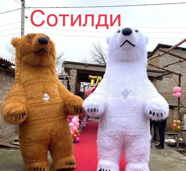 Думбок айикчалар — 7