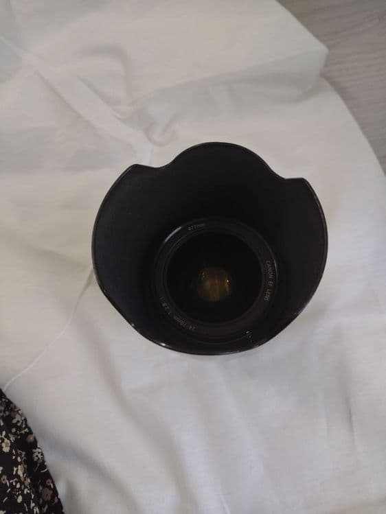 Canon 24_70 mm f2.8 — 3