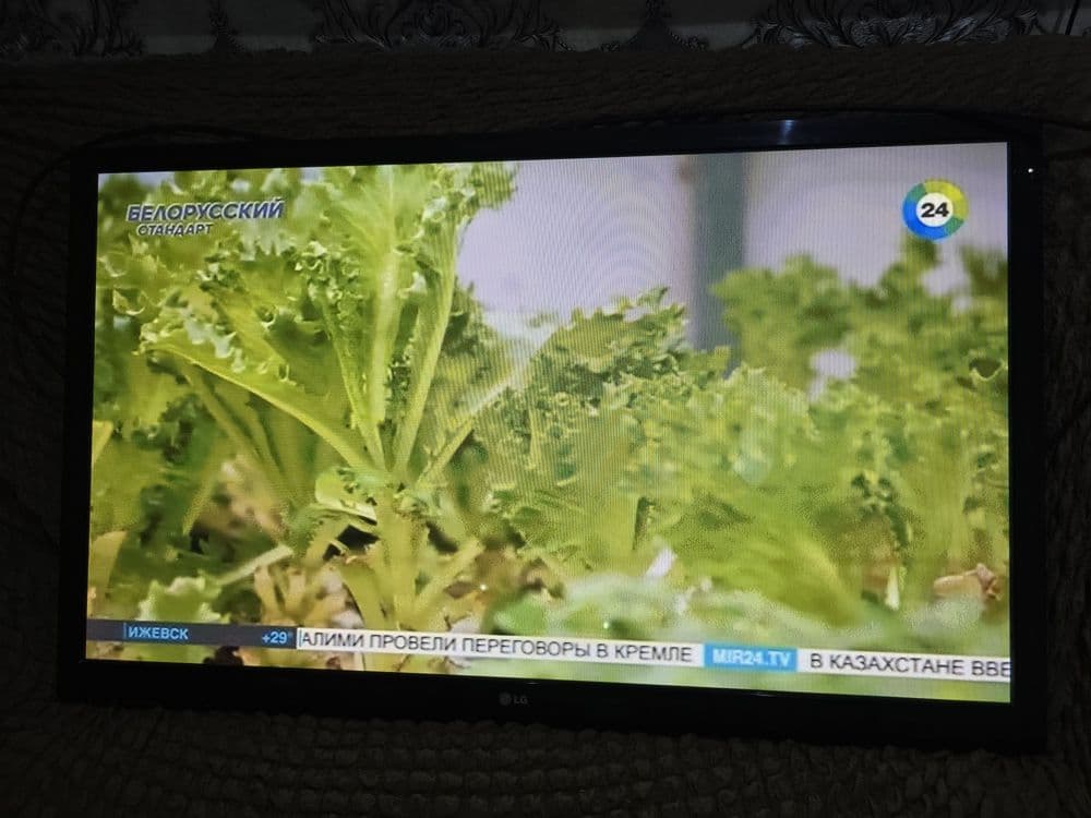 Televizor sotiladi LG arzon 43 razmer hamma Informatsiya pasta — 3