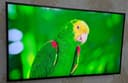 Телевизор 43 Smart 4K Samsung 7100