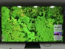 Телевизор QNED LG 55/65/75/86/100 QNED86A6A Mini LED (Новинки 2025)