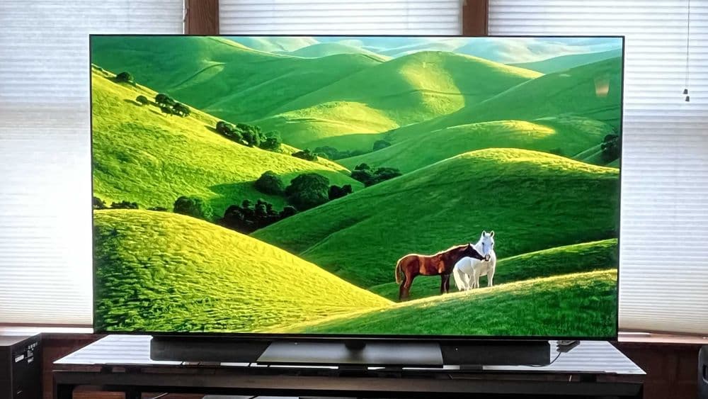 Телевизор LG OLED 48/55/65/77/83/97 G5 RLA (Primary Tandem OLED 2025) — 3