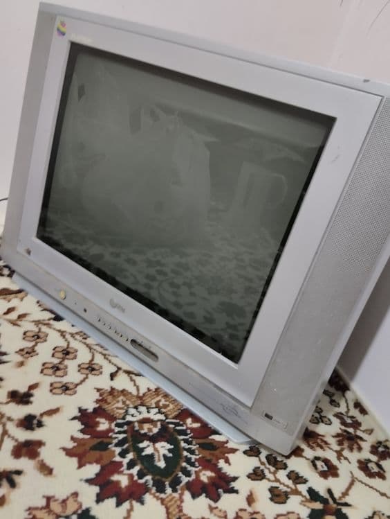 Televizor_LG_300.000 — 2