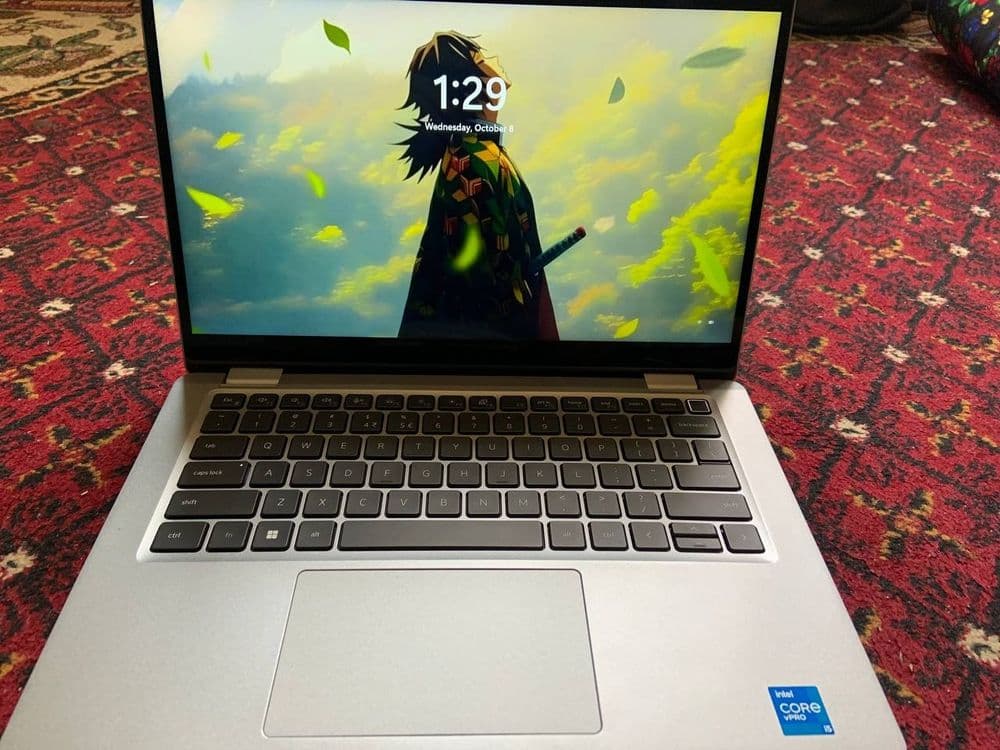 Dell Windovs 11 250 — 5