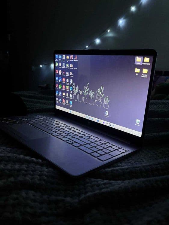 hp laptop dw3xxx — 1