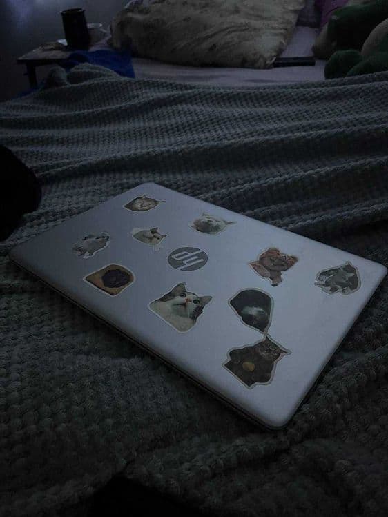 hp laptop dw3xxx — 2