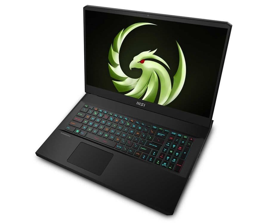 MSI Alpha 17.3 QHD IPS 240Hz Ryzen 9-7945HX DDR5 16 SD 1 TB RTX 4070 8 — 5