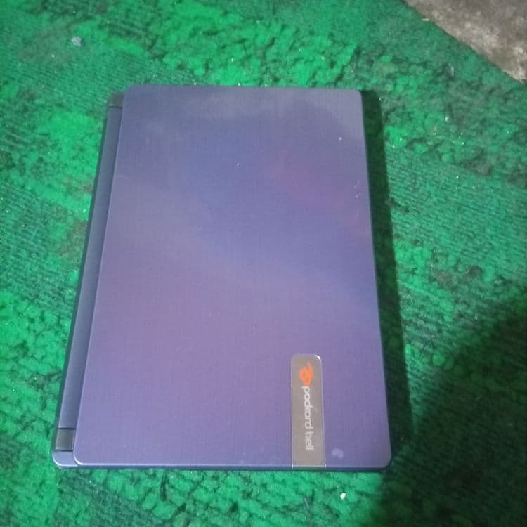 Netbukcha sotiladi — 3