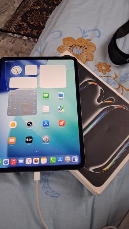 Ipad pro 11 m4 LLA 256 tali — 4