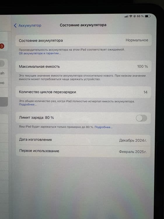 ipad pro 13 dyum M4 256 gb       yomkost 100 — 3