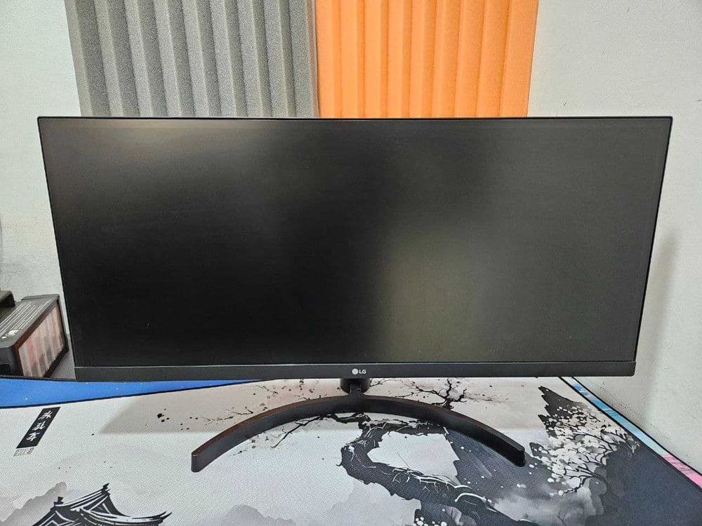 Монитор LG 29WL500 Black — 1