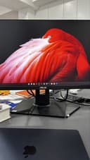 Монитор ASUS 24 диагональ