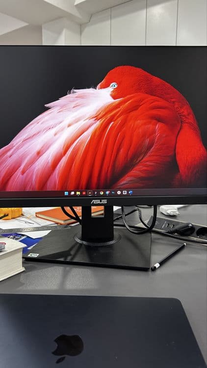 Монитор ASUS 24 диагональ — 1