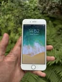 IPHONE 6 gold 100%