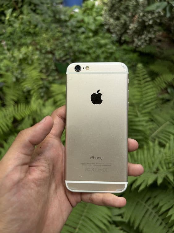 IPHONE 6 gold 100% — 2