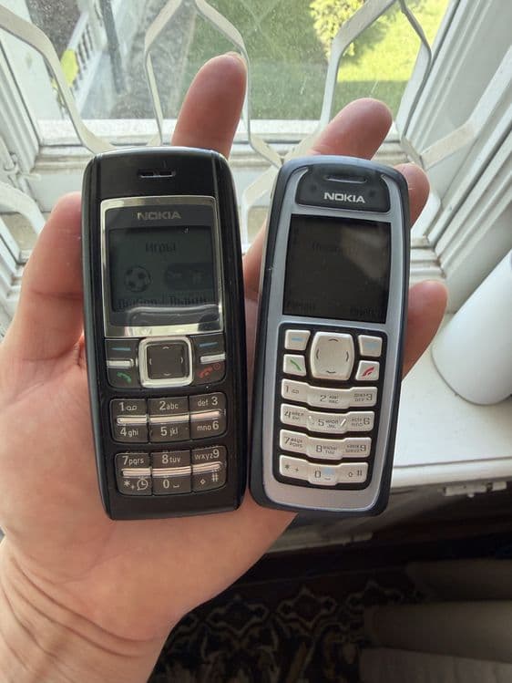 Nokia 3100 radnoy Germaniya — 2