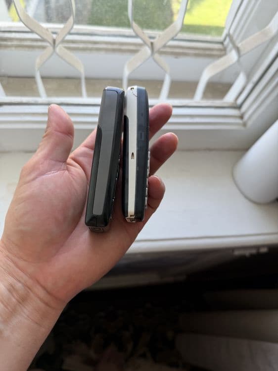 Nokia 3100 radnoy Germaniya — 3
