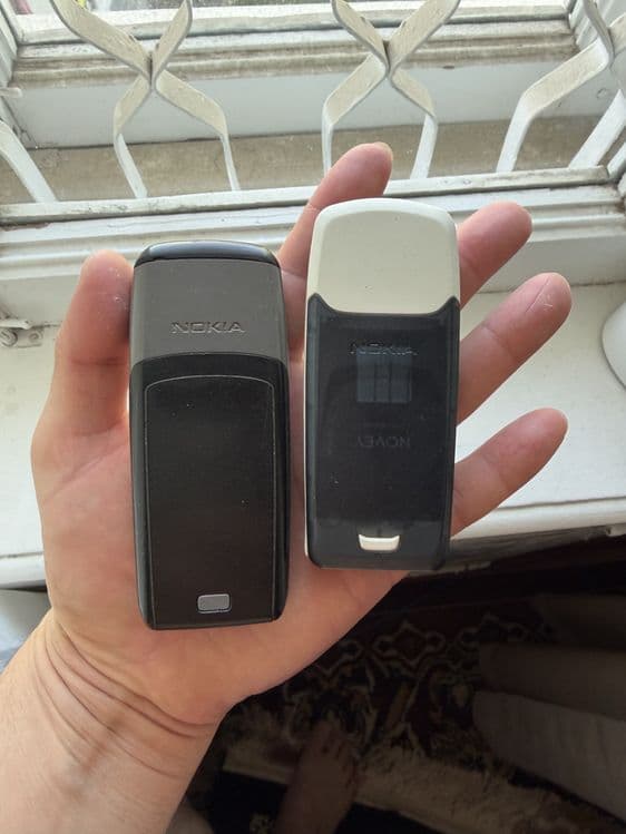 Nokia 3100 radnoy Germaniya — 5