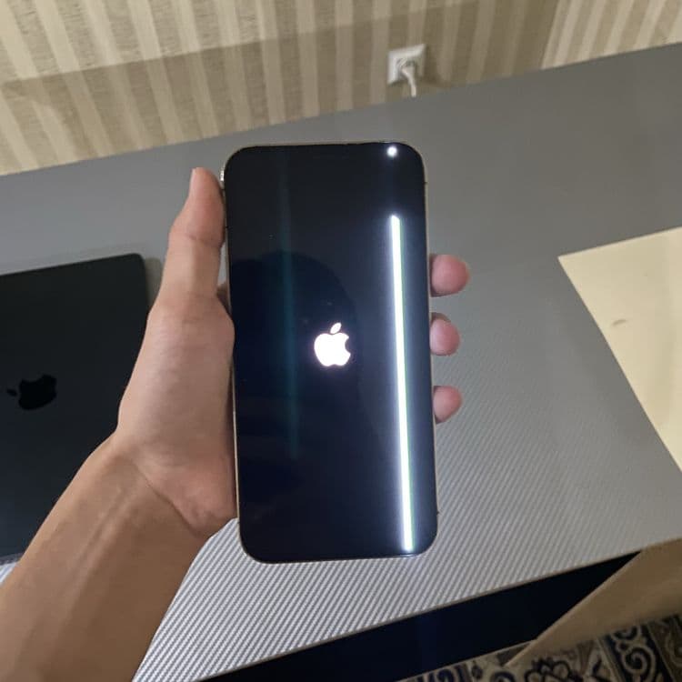 iphone 12 pro max 256 — 2