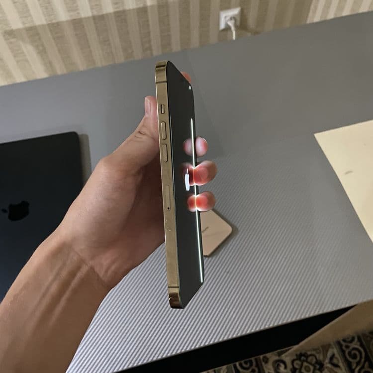 iphone 12 pro max 256 — 3
