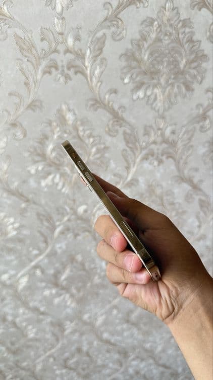 iPhone 12 Pro 256gb — 4