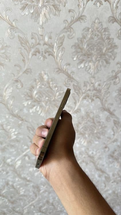 iPhone 12 Pro 256gb — 5