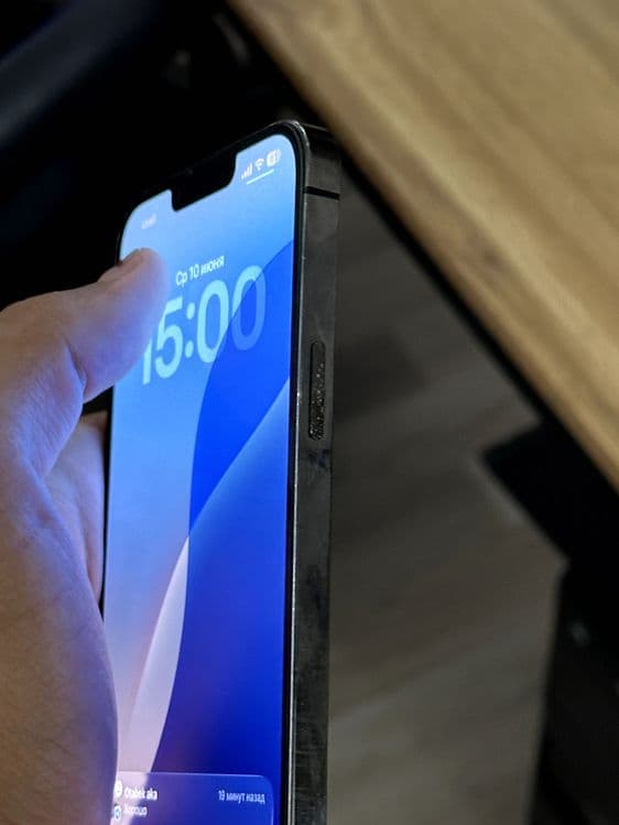 iPhone 13 Pro Max | 256 GB — 3