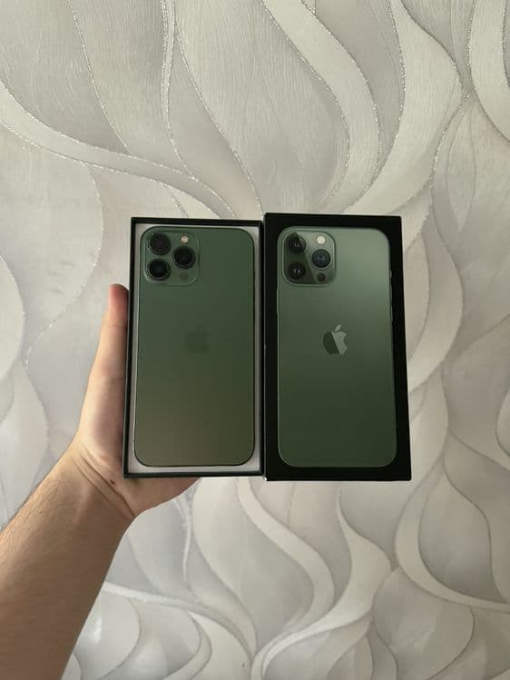 iPhone 13 pro max