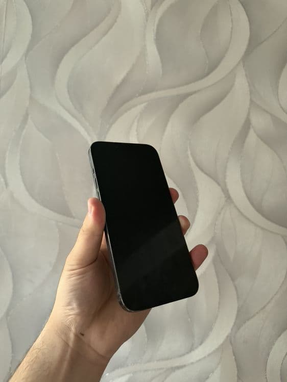 iPhone 13 pro max — 2