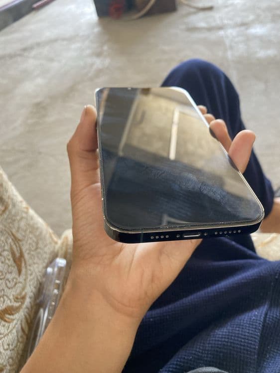 IPHONE 13 PRO MAX | 256 gb — 7