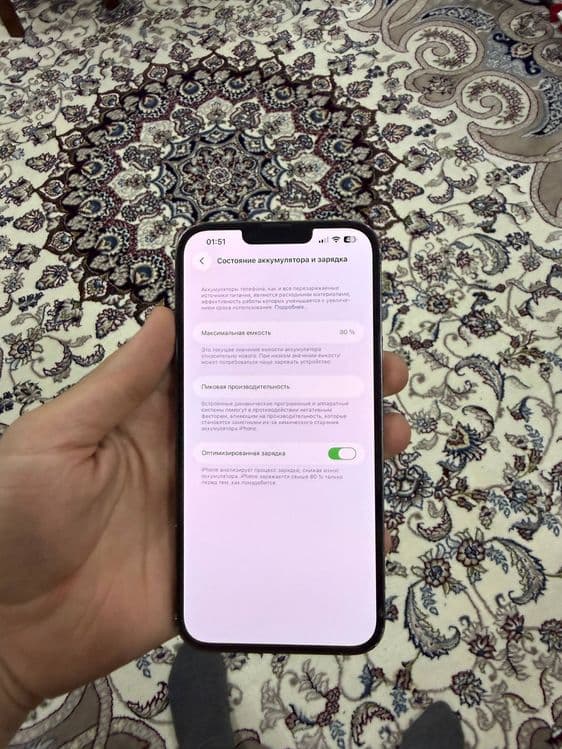 ipphone 13 pro max — 4