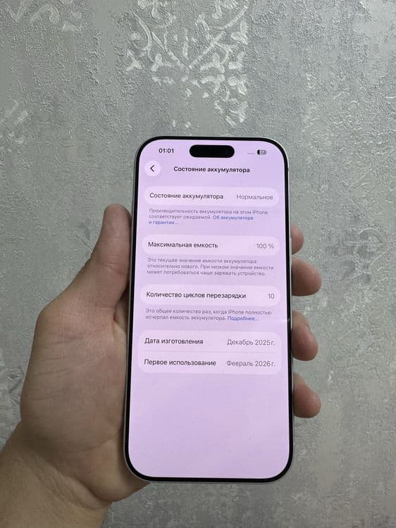 17 pro silver 256 tali 100% yomkist sim+esim — 4