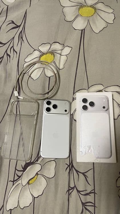 17 pro max silver — 1