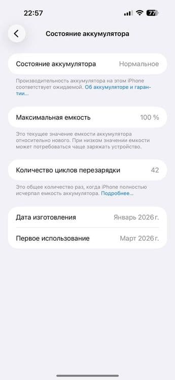 17 pro max silver — 7