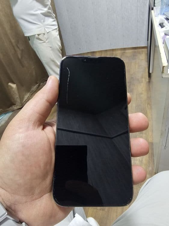 Iphone 13 pro max — 1